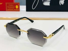 Picture of Cartier Sunglasses _SKUfw55118680fw